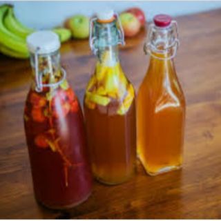 Nấm trà kombucha.