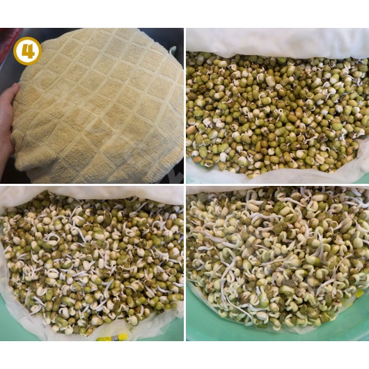 500g Đậu Xanh Nguyên Hạt Organic - Đậu Xanh Làm Giá Hữu Cơ Hột Nhỏ Giống Thuần Chủng – Nông Sản Sạch Thanh Hằng