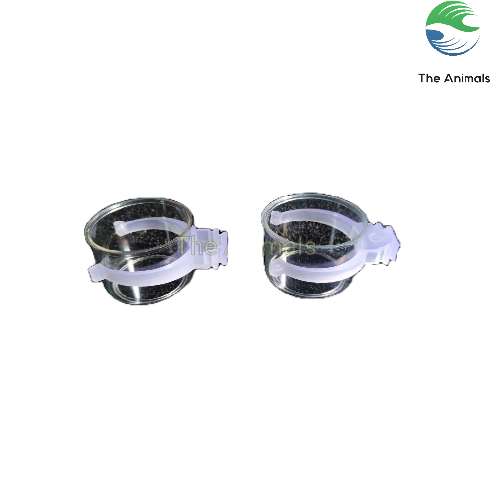 [1 cặp] Cóng đựng nước uống cho chim chào mào, chim khướu, chim khuyên