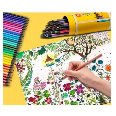 Hộp 36 bút chì màu cho bé tập tô vẽ sáng tạo, Bộ 36 cây bút chì màu PENSING cho bé