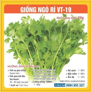 Hạt giống Ngò Rí (Rau Mùi)