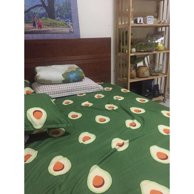 Bộ ra nệm quả bơ - 1 drap 1m6 1m8 kèm 2 áo gối nằm 45 x 65 cm- CAISHOPQUEN