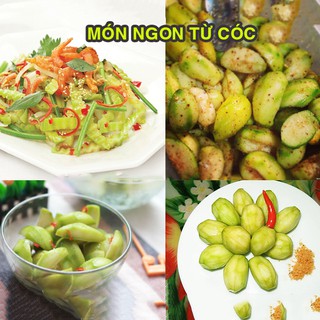 Cóc cầy 1 kí ăn là ghiềng [CHỈ GIAO TPHCM]