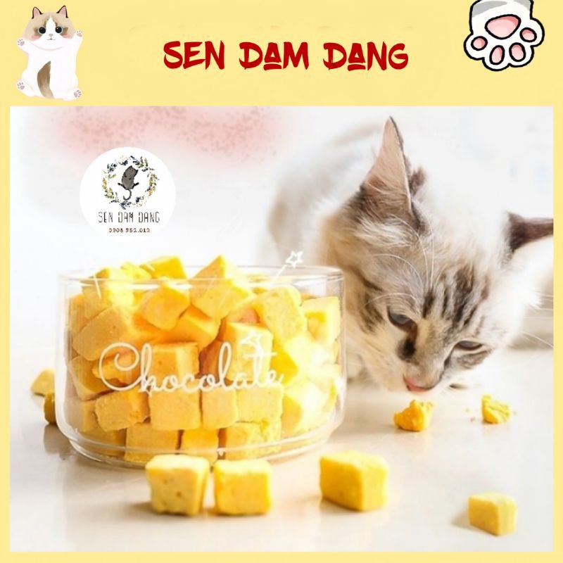 [Mã 253FMCGSALE giảm 8% tối đa 100K đơn 500K] Phô Mai Sấy Cho Cún Mèo - 20G