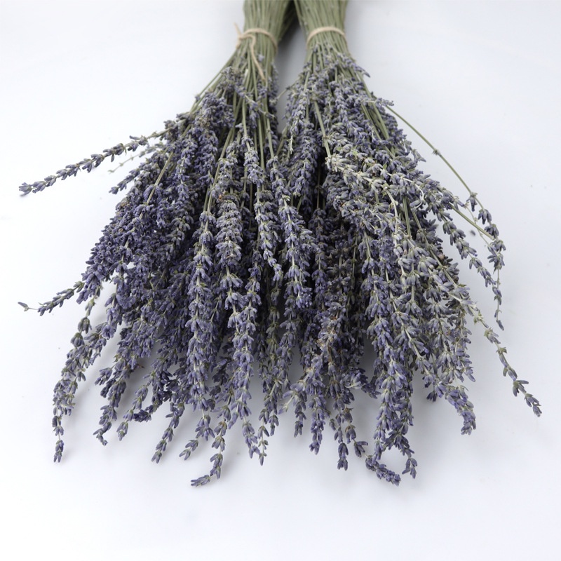 Bó hoa Lavender khô