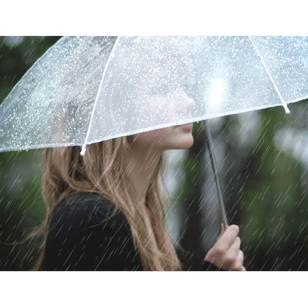 Ô dù trong suốt che mưa phong cách Hàn Quốc xinh xắn