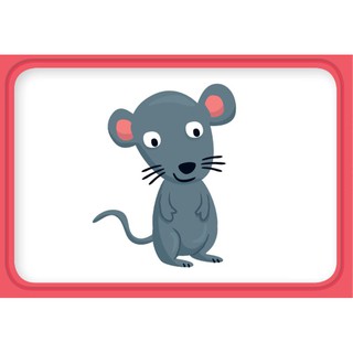 Flashcard Oxford Phonic World 5