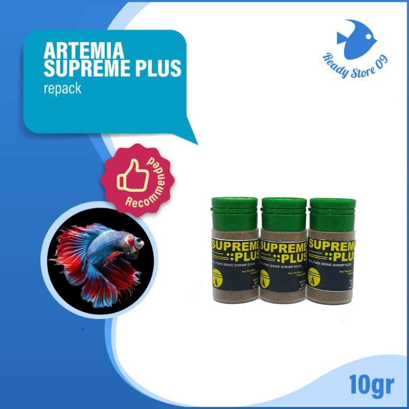 Áo Thun In Chữ Supreme Plus 10g Thời Trang Năng Động