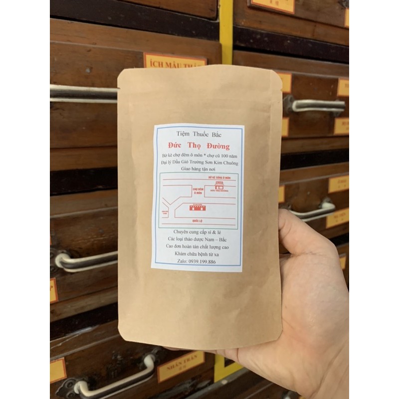 Sâm Rong Biển Cúc La Hán - Sâm Lạnh