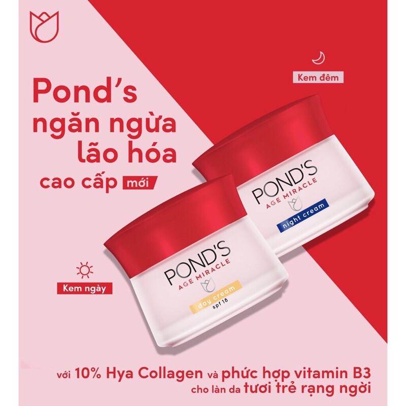 KEM DƯỠNG TRẮNG DA NGĂN NGỪA LÃO HOÁ CAO CẤP POND’S 50g