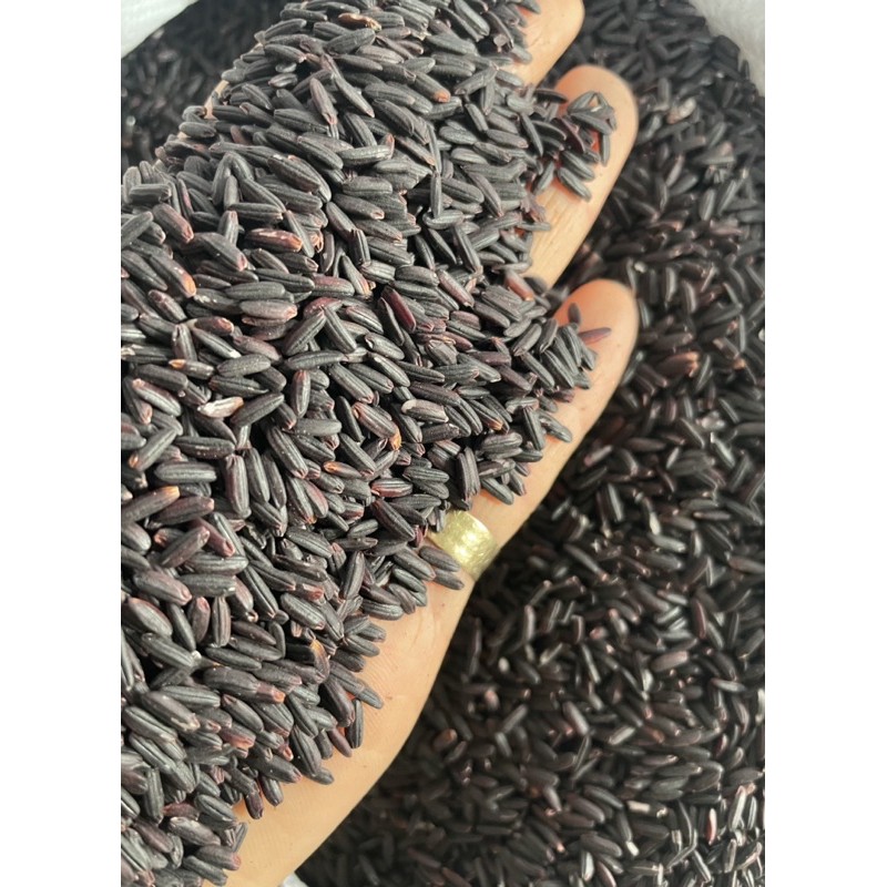 Gạo Nếp Cẩm Điện Biên | BigBuy360 - bigbuy360.vn