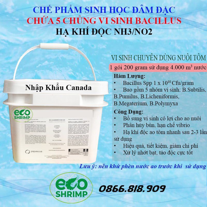 Vi Sinh Xử Lý NO2 NH3 Ao Tôm Nhập Khẩu Canada 1 Túi 200gr