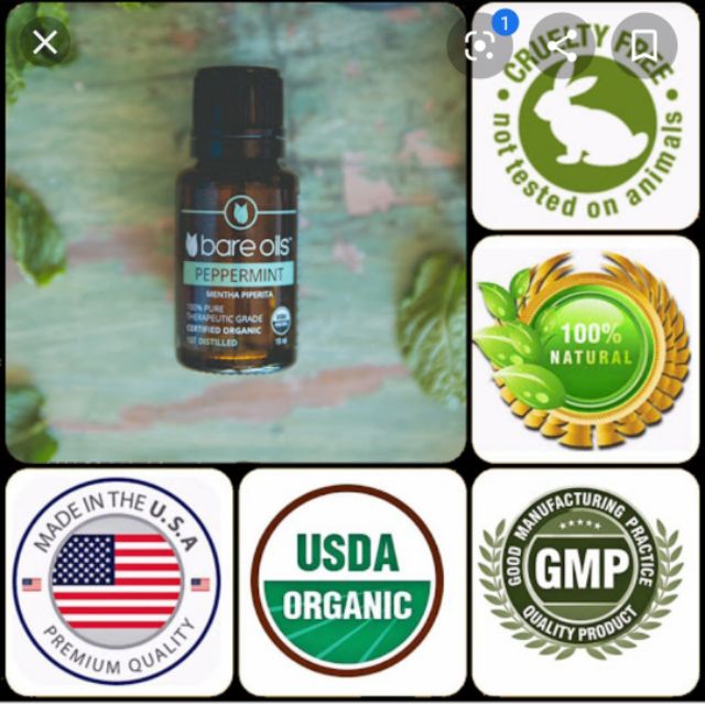 Tinh dầu bạc hà hữu cơ ( Peppermint Organic USDA- Bare Oils Yorhealth)
