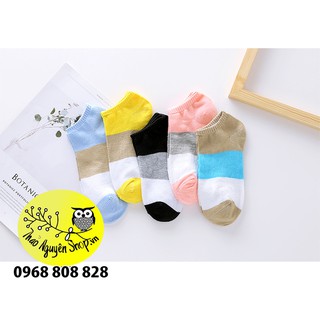 Combo 5 đôi tất nữ Muji