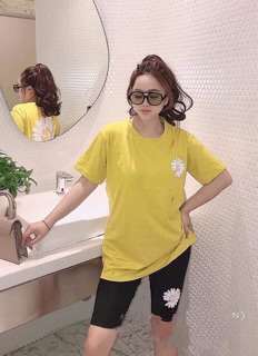 Bộ lửng hoa cúc siêu êu