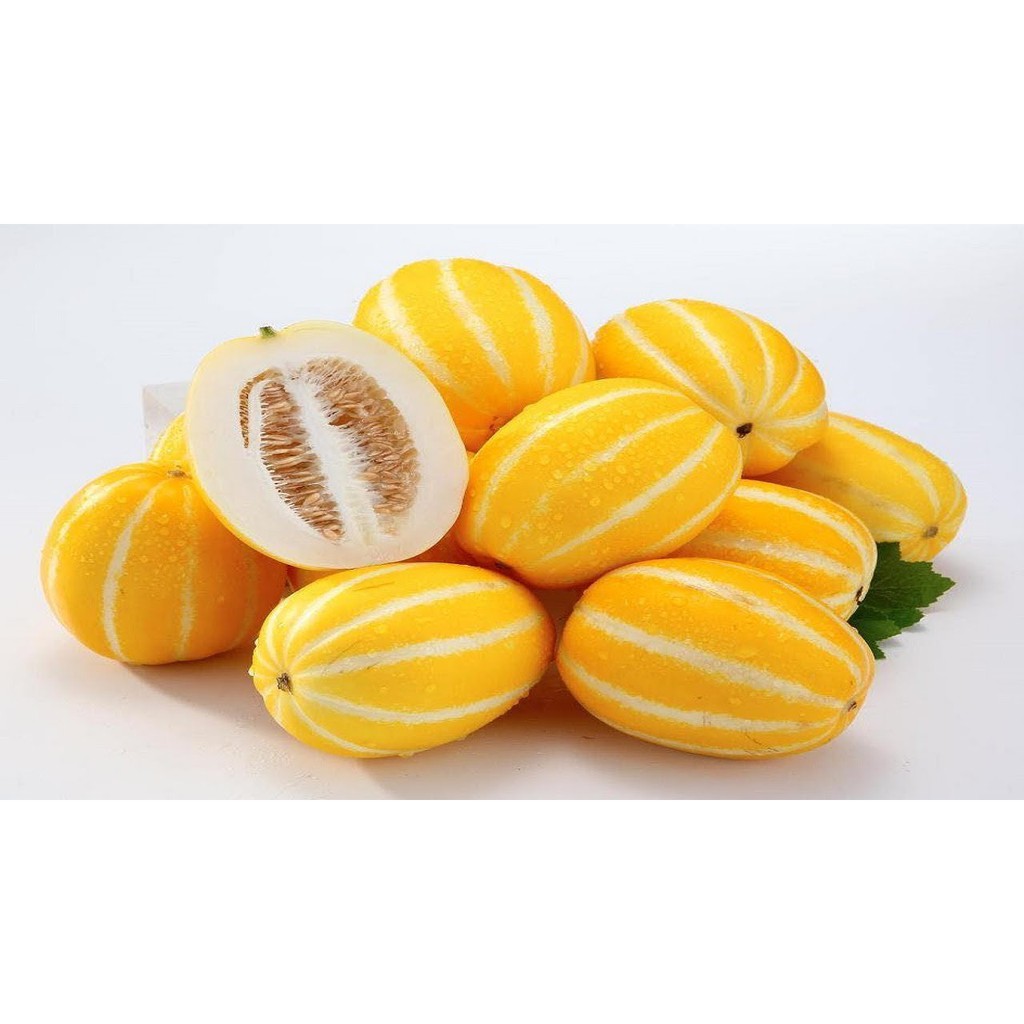 Hạt giống Dưa Lê Hàn Quốc (dưa vàng long yellow)