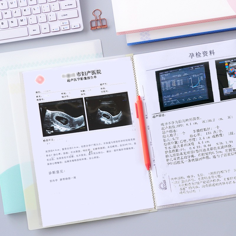 File lá, bìa lá A4 Wengu - 20 ngăn / 40 ngăn / 60 ngăn