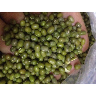 600g Đậu xanh nguyên hạt