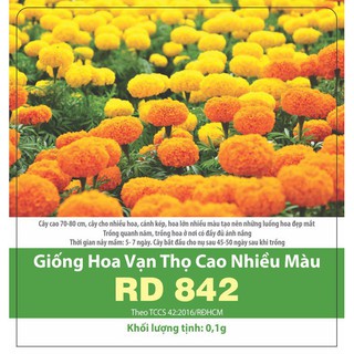 HẠT GIỐNG VẠN THỌ CAO NHIỀU MÀU RADO 842 - 0.1GRAM
