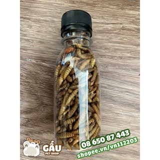 Canxi cho hamster