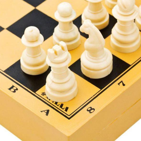 Bộ Đồ Chơi Cờ Cá Ngựa Loại Tốt - Cờ Đua Ngựa Chất Liệu Nhựa An Toàn