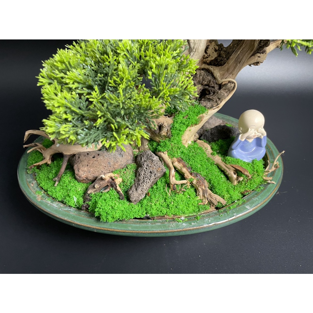 Lũa Bonsai, Lũa thủy sinh dùng trang trí hồ cá cảnh, hồ thủy sinh, văn phòng, nhà cửa