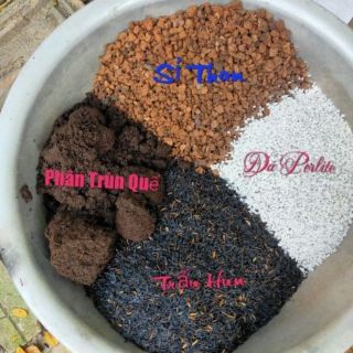 Đất Trồng Sen Đá - Xương Rồng 200g