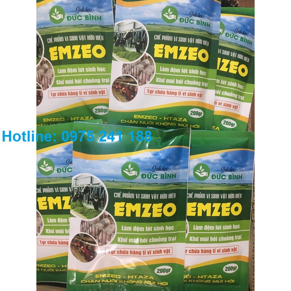 Chế phẩm Emzeo khử mùi hôi chuồng gà (cách nuôi gà không hôi hiệu quả cho bà con)