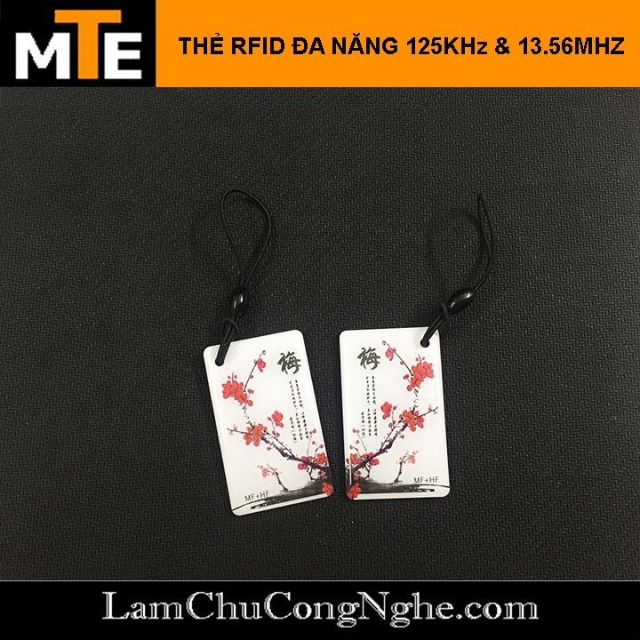 Thẻ RFID - Móc khóa hình ngộ nghĩnh Sao Chép Được thẻ từ ra vào, thẻ thang máy có tần số 125Khz và 13.56mhz