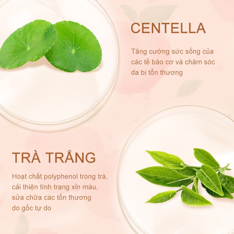 [HCM][KissBeautyShop] LANBENA Gel xóa sẹo Loại bỏ Sẹo mụn Vết rạn da và Sẹo lồi Sửa chữa da KB-LB-XHG01