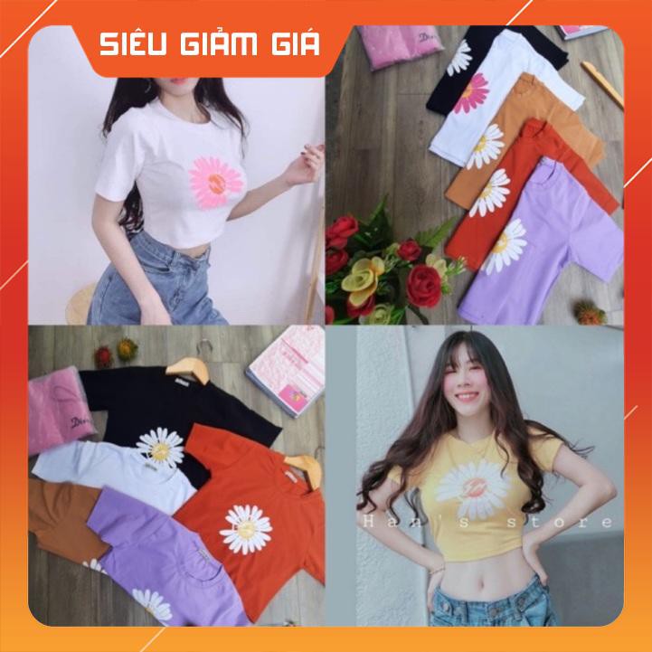 [Fee ship+ Video] ÁO CROPTOP IN HOA CÚC
