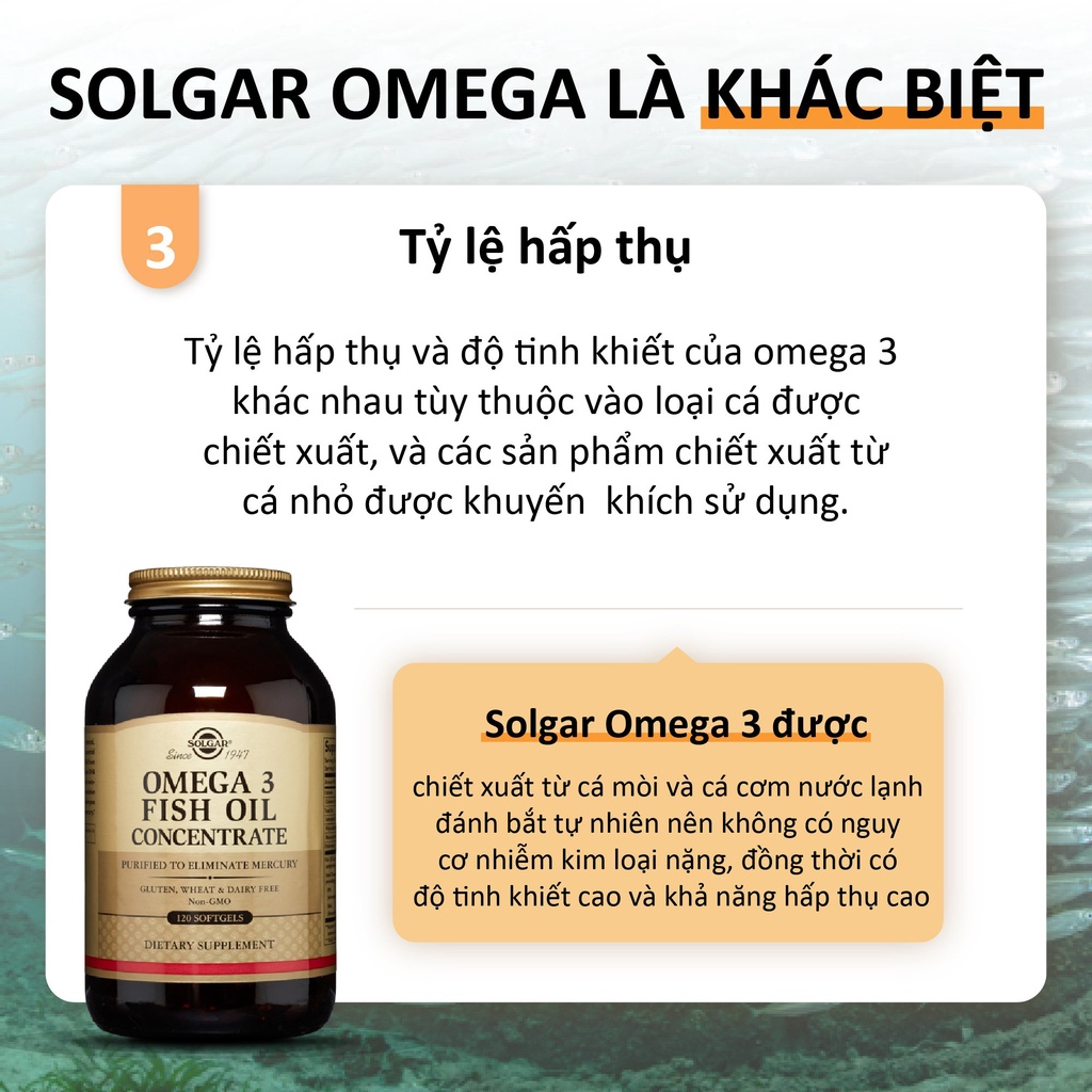 Viên Uống Solgar Fish Oil Concentrate - Dầu Cá Omega 3 - Bổ Não, Sáng Mắt, Tăng Cường Trí Nhớ, Hỗ Trợ Tim Mạch 120 Viên
