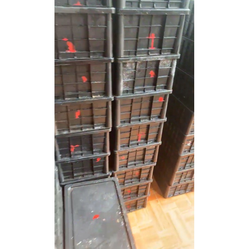 MỰC CÂU TO VIP LOẠI NGON NHẤT - ĐẶC SẢN HẠ LONG 500G, 1KG | BigBuy360 - bigbuy360.vn