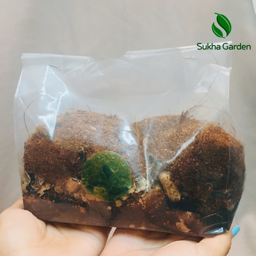 Đất trộn xơ dừa, vỏ đậu trồng cây túi 500g