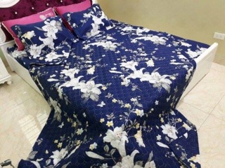 Sét chăn hè + 2 vỏ gối + ga chun
