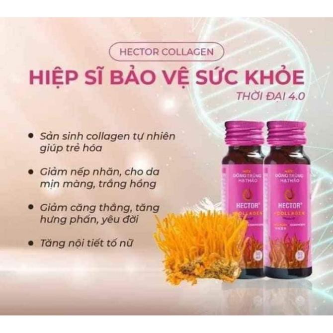 Combo 2 hộp Hector Collagen đông trùng hạ thảo