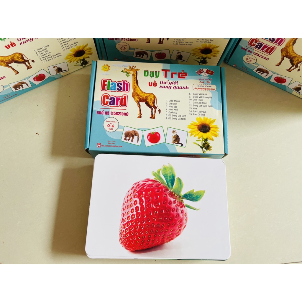 Bộ Thẻ Học Thông Minh Size Lớn Khổ A5 15x21 - Flashcard Cho Bé