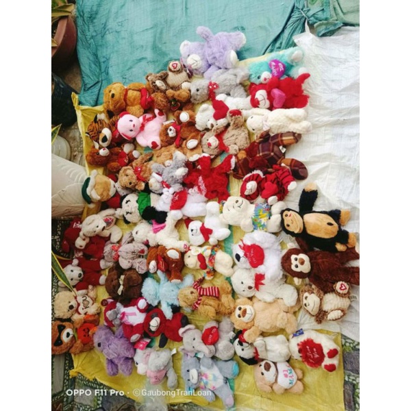 Gấu bông teddy gói quà 20/10