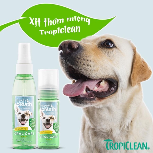 Xịt thơm miệng khử mùi hôi tức thì cho chó mèo Tropiclean