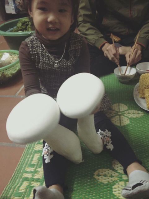 Phôi nấm đùi gà | BigBuy360 - bigbuy360.vn