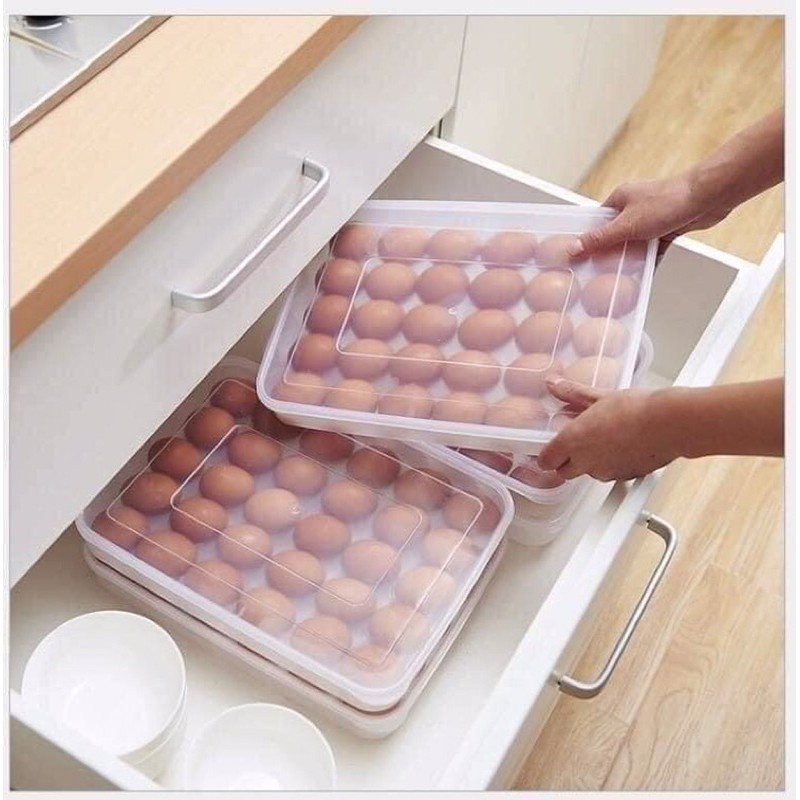 Khay Đựng Trứng Gà,Trứng Vịt Hộp Lưu Trữ Trứng Loại 24 Ô-Việt Nhật Có Nắp Đậy Cất Trong Tủ Lạnh DDGDTM