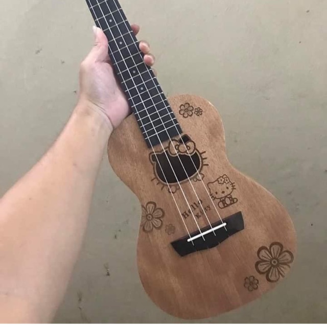 Ukulele concert kitty