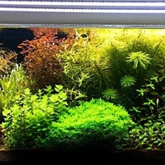 CỐT NỀN THỦY SINH VŨ AQUA 1L~2L~5L - DÀNH CHO BỂ THỦY SINH