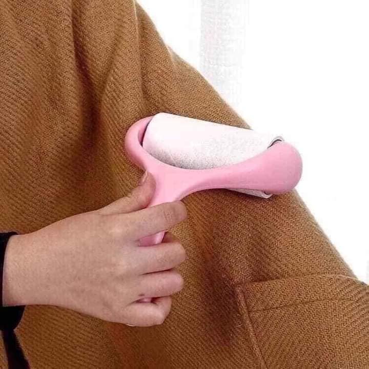 Cây lăn bụi quần áo