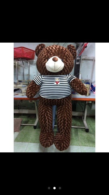 Gấu Teddy khổ vải 1m4 Size thật 1m2 hàng VNXK