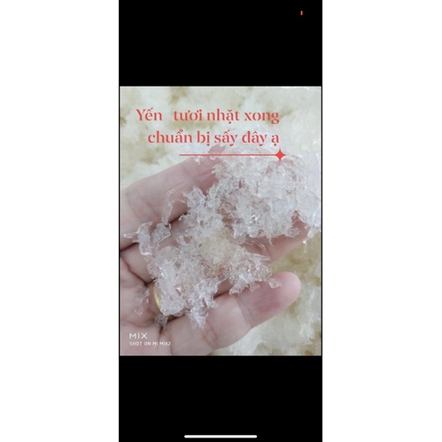 Hộp 30 Sét Yến Mini + 🎁🎁🎁🎁