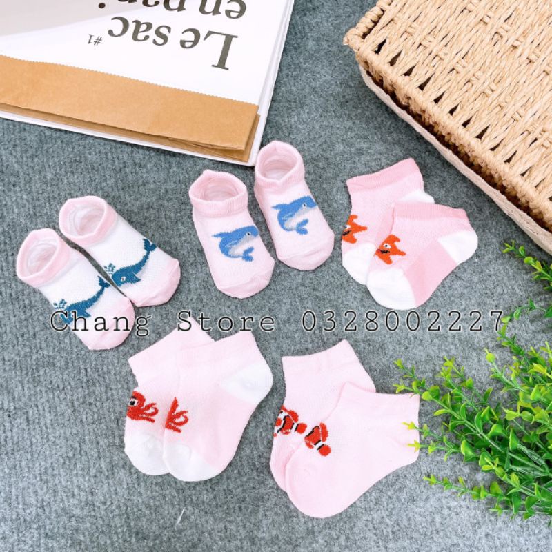 Sét 5 đôi vớ chân cho bé từ 4-8kg
