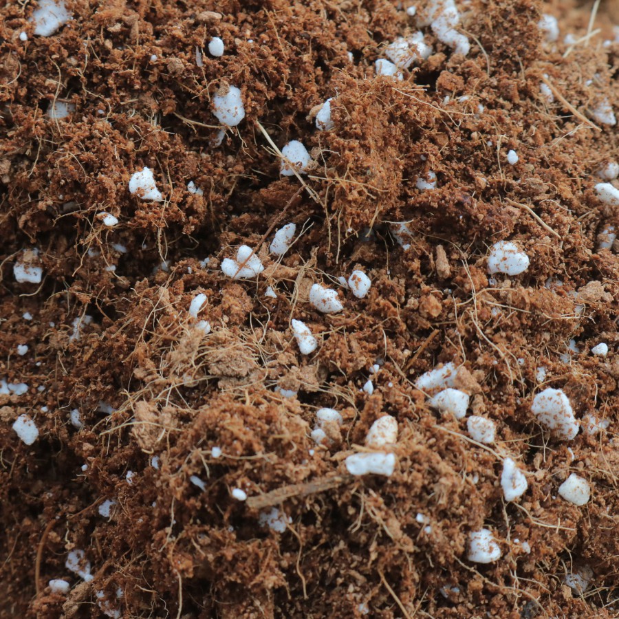 Đất trồng sen đá, hoa kiểng LAFAMIX tơi xốp thoát nước tốt, cho cây trồng phát triển nhanh không bị đọng nước trong chậu