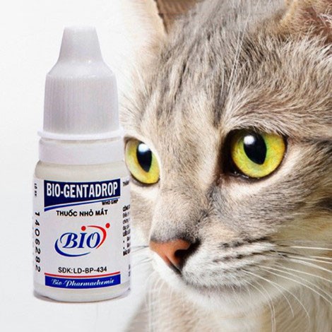 Nhỏ mắt cho chó mèo Bio Genta drop