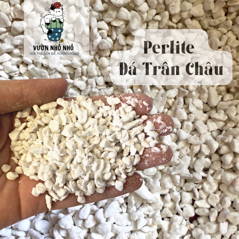 500gr Đá Perlite , Đá Trân Châu siêu phẩm trộn giá thể trồng Sen đá, Xương rồng, Hương Thảo, Hoa hồng - Vườn Nhỏ Nhỏ